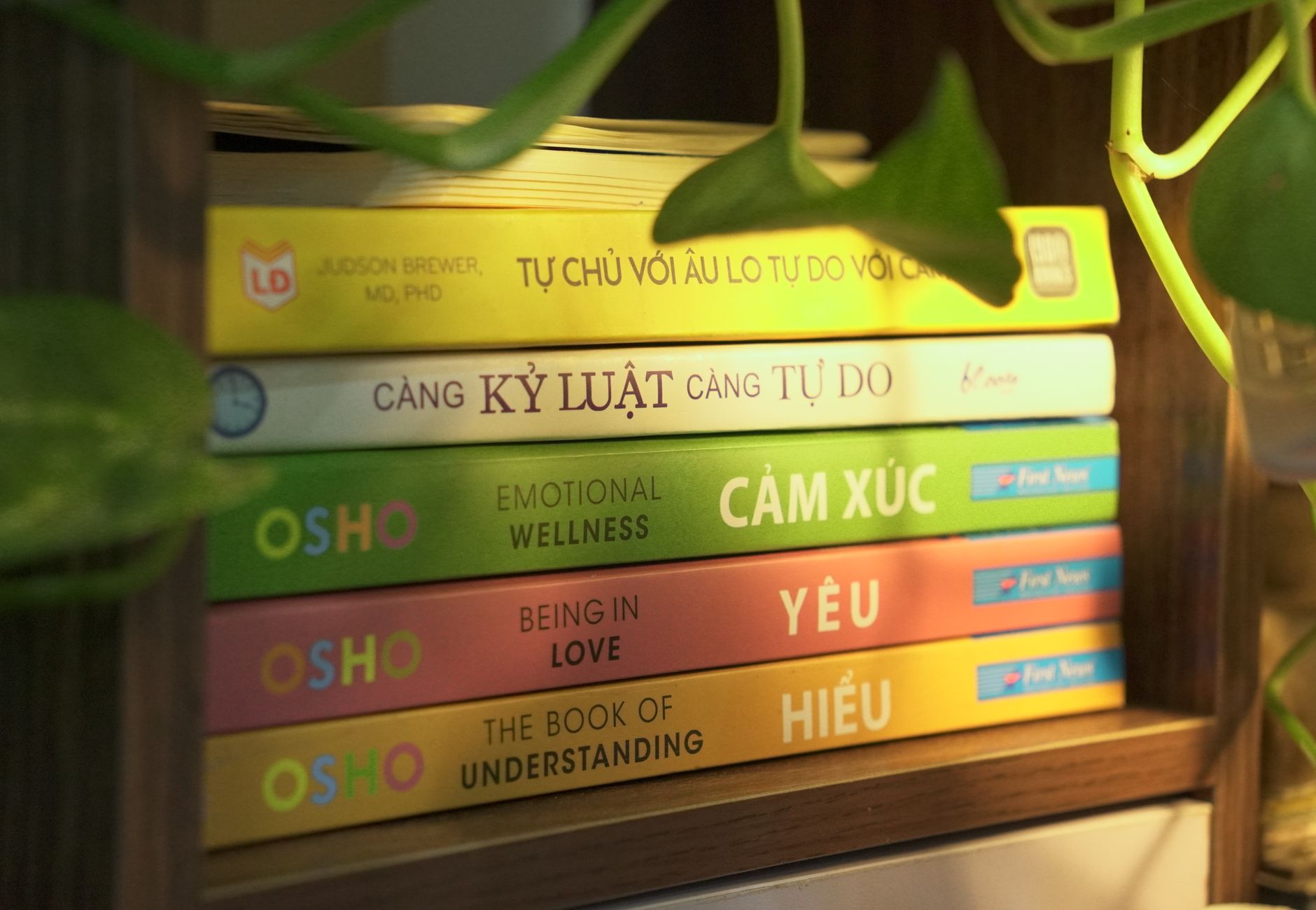 A vibrant stack of motivational books on a wooden shelf, surrounded by lush greenery.