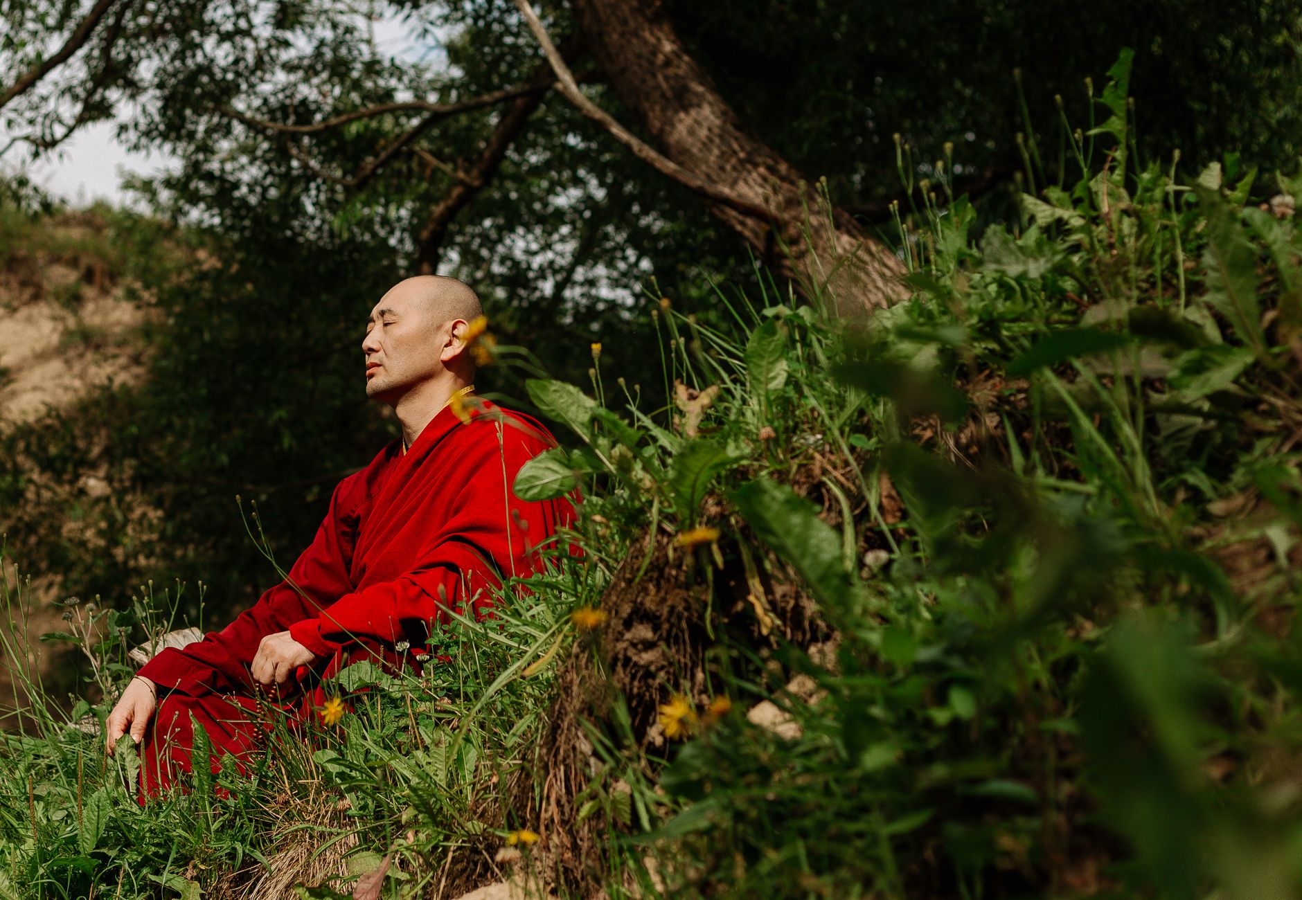Serene scene of a monk meditating outdoors among lush greenery.